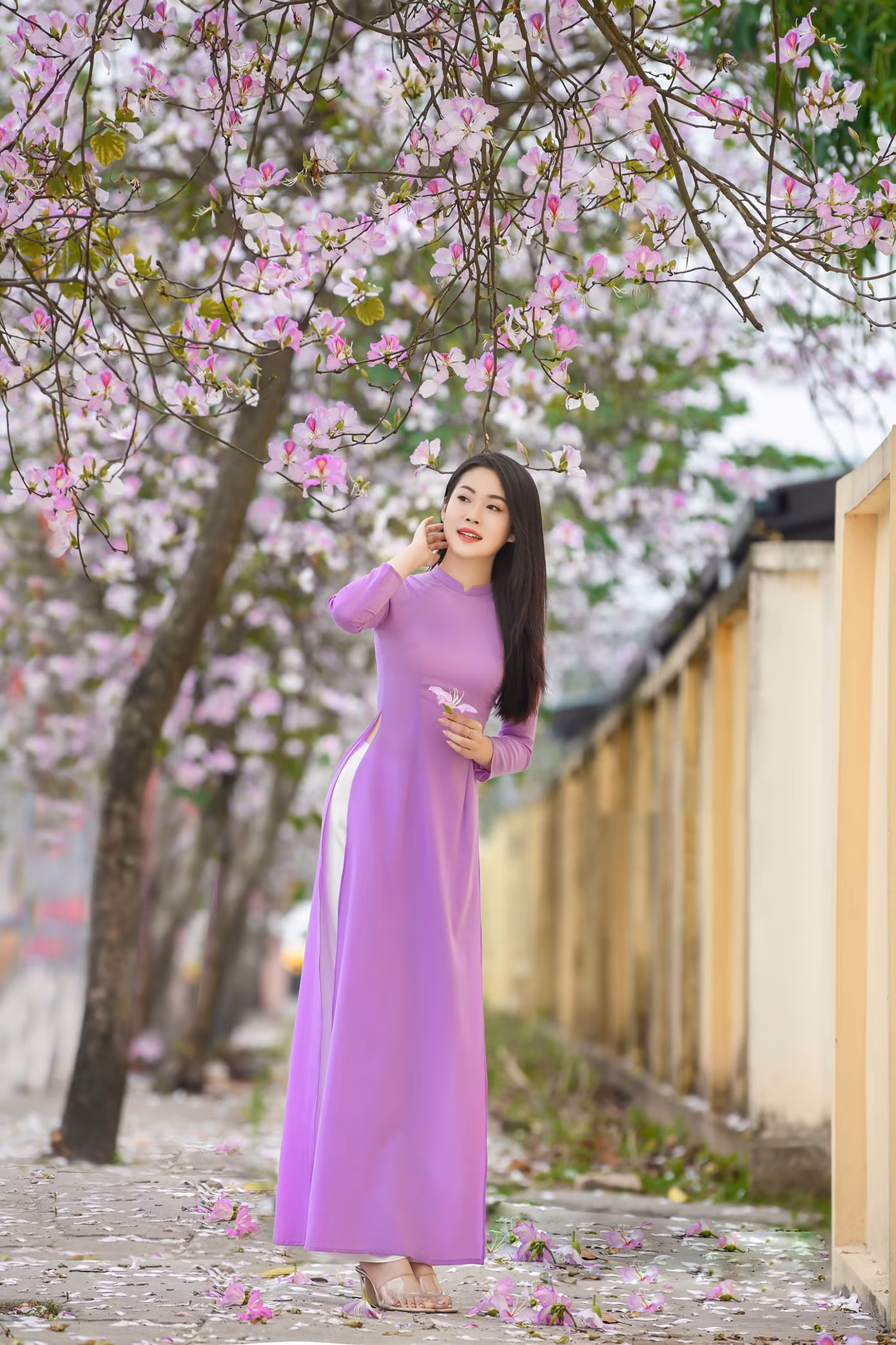 Thiếu nữ tạo hình dưới hàng hoa ban tím. Ảnh: LÊ XUÂN BÁCH