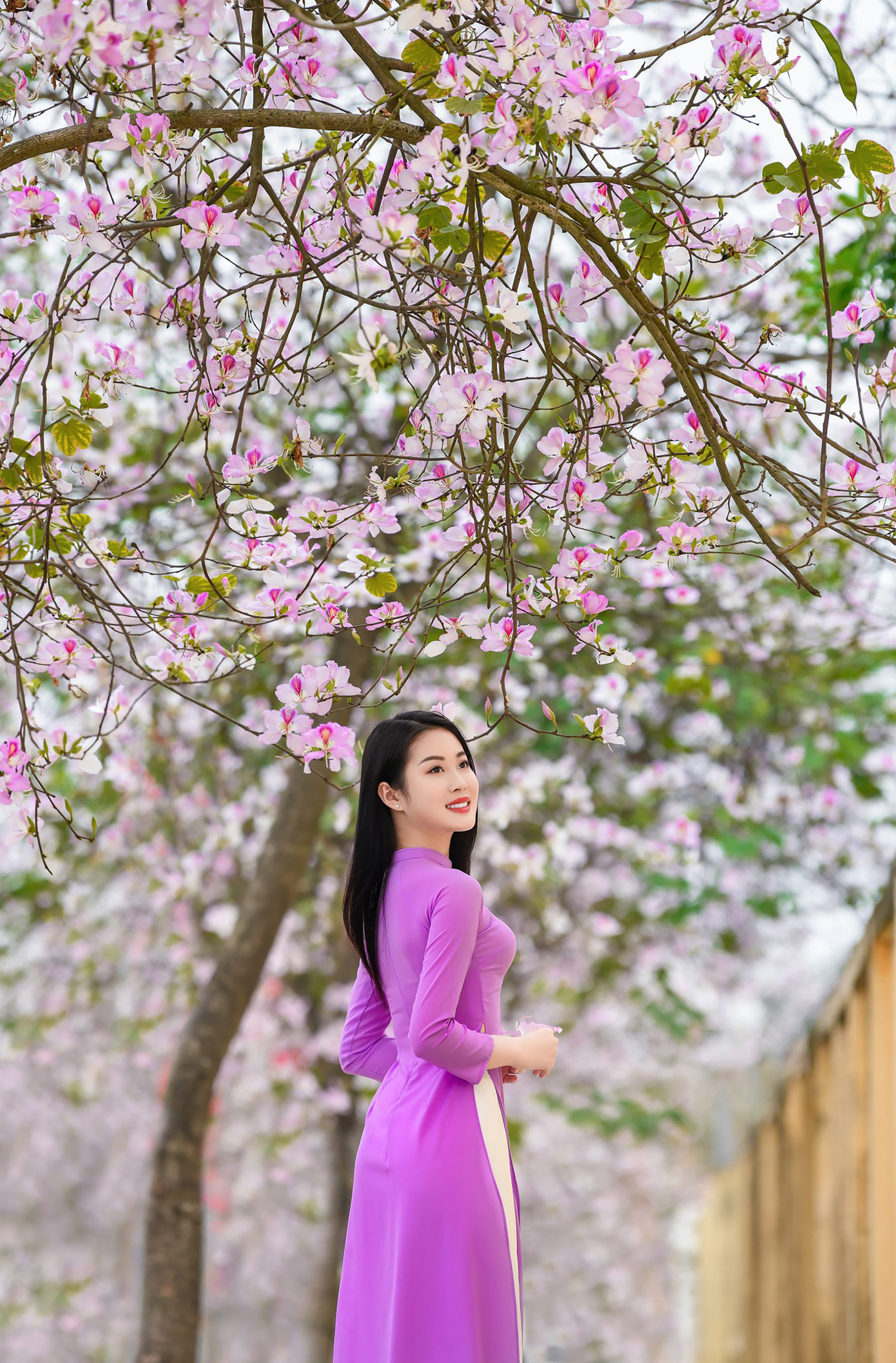 Nhiều bạn trẻ khác đã lựa chọn trang phục áo dài truyền thống của dân tộc kết hợp với hàng hoa ban đang khoe sắc thắm. Ảnh: LÊ XUÂN BÁCH