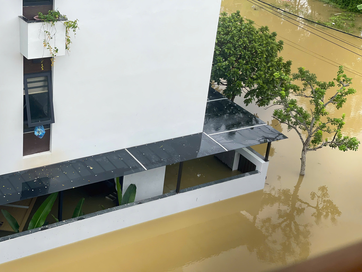 Theo thông tin từ UBND TP. Tuyên Quang (tỉnh Tuyên Quang), nhiều xã, phường... nhà dân đều đã bị ngập. Lúc này, hầu hết các gia đình đều đã phải chuyển lên sinh hoạt tại khu vực tầng 2 - 3 do nước lên nhanh hoặc phải di chuyển đi xa để tránh lũ. Theo thông tin từ UBND TP. Tuyên Quang (tỉnh Tuyên Quang), nhiều xã, phường... nhà dân đều đã bị ngập. Lúc này, hầu hết các gia đình đều đã phải chuyển lên sinh hoạt tại khu vực tầng 2 - 3 do nước lên nhanh hoặc phải di chuyển đi xa để tránh lũ.