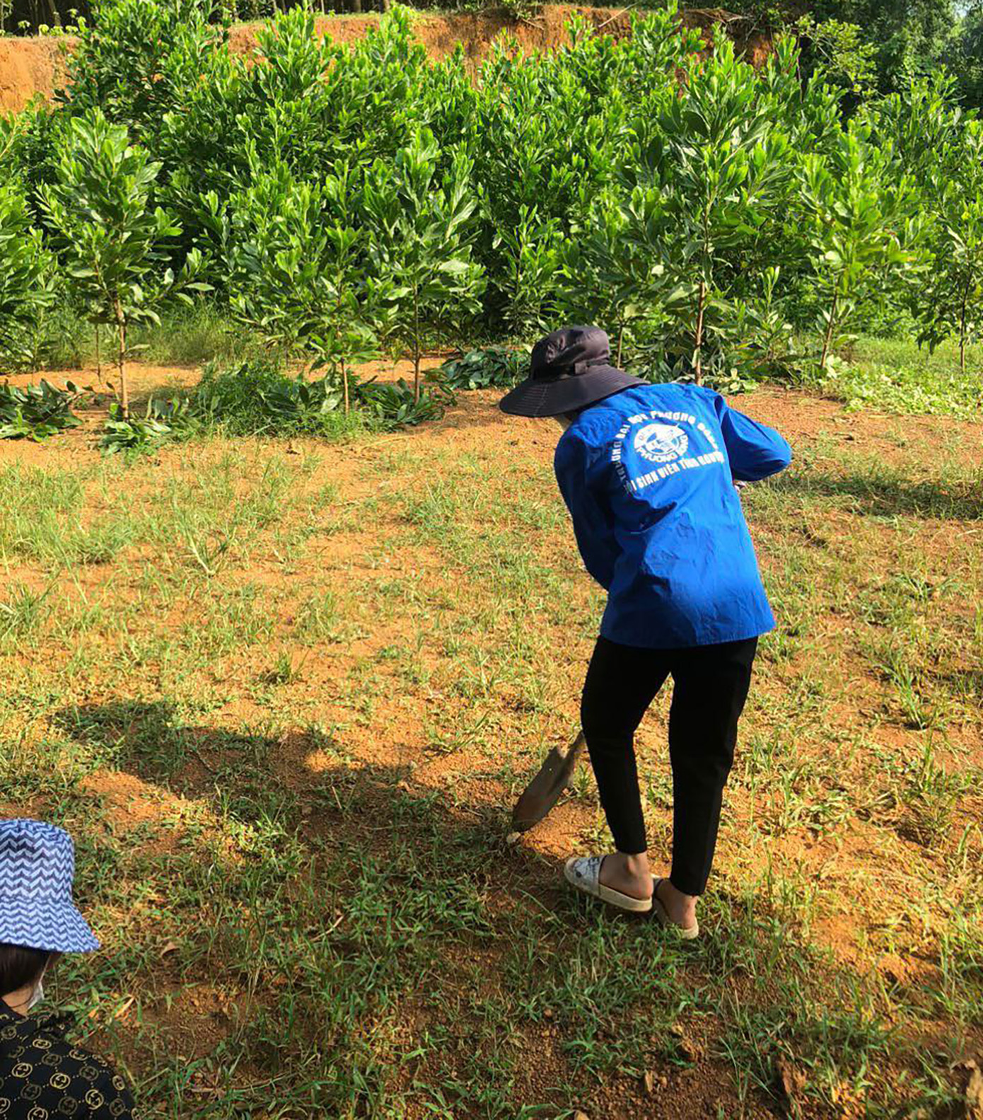 Gần 100 sinh viên tình nguyện trường ĐH Phương Đông, tham gia tình nguyện tại tỉnh hoà Bình. Gần 100 sinh viên tình nguyện trường ĐH Phương Đông, tham gia tình nguyện tại tỉnh hoà Bình.