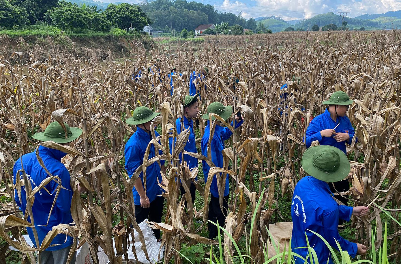 Thành Đoàn, Hội Sinh viên TP. Hà Nội phối hợp cùng các tỉnh, thành đoàn như Lạng Sơn, Hà Giang, Hải Phòng, Quảng Bình, Phú Thọ, Nam Định, Nghệ An... trong công tác điều phối đội hình tình nguyện, tham gia xây dựng công trình, triển khai phần việc tại địa bàn thuộc các tỉnh, thành.