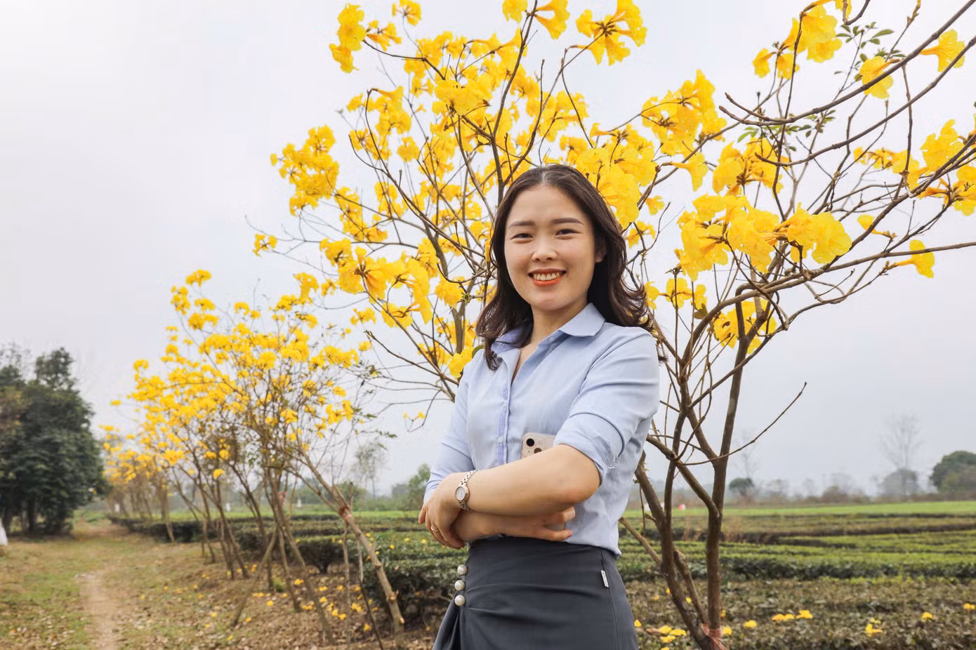 Hàng cây với màu vàng nổi bật thu hút hàng trăm sinh viên check-in.