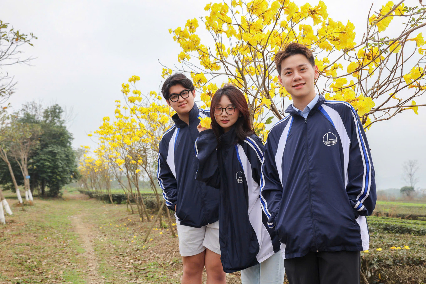 Hàng cây với màu vàng nổi bật thu hút hàng trăm sinh viên check-in. Hàng cây với màu vàng nổi bật thu hút hàng trăm sinh viên check-in.