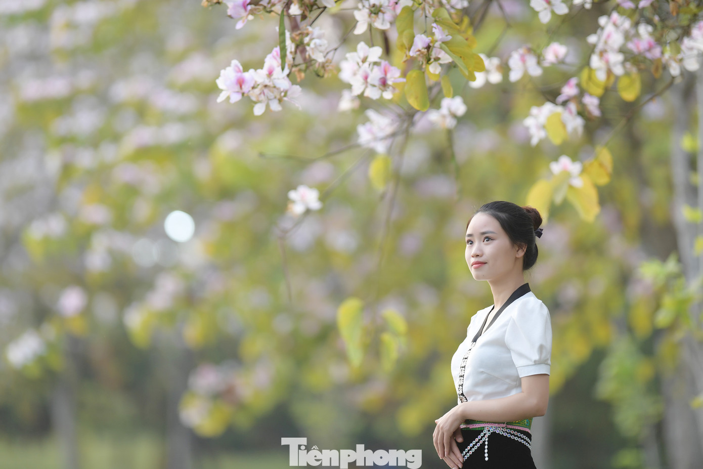 Bạn Hoàng Thuý Hạnh (TP. Lai Châu) chia sẻ: “Hoa ban ở đây trồng rất nhiều nên khi chụp ảnh rất đẹp, hoa nhiều màu sắc như trắng, đỏ, hồng,… xen kẽ nhau tạo nên khung cảnh lãng mạn. Nhóm của mình chọn đúng ngày thời tiết đẹp để đến đây chụp ảnh, quay video, đăng lên mạng xã hội nhằm quảng bá hình ảnh TP. Lai Châu”.