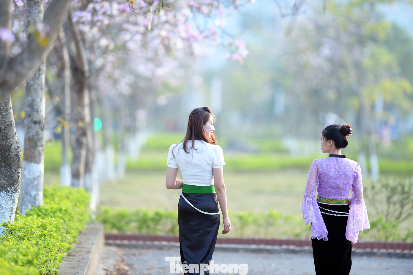 Các thiếu nữ dân tộc Thái dưới hàng hoa ban nở rực rỡ.