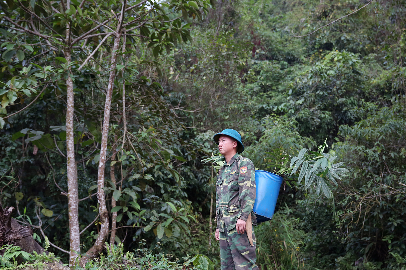 Hằng ngày, Cứ A Súa vẫn tiếp tục rong ruổi trên các triền núi để tìm những cây thuốc về chữa bệnh cho người dân nghèo. Ảnh: DƯƠNG TRIỀU Hằng ngày, Cứ A Súa vẫn tiếp tục rong ruổi trên các triền núi để tìm những cây thuốc về chữa bệnh cho người dân nghèo. Ảnh: DƯƠNG TRIỀU