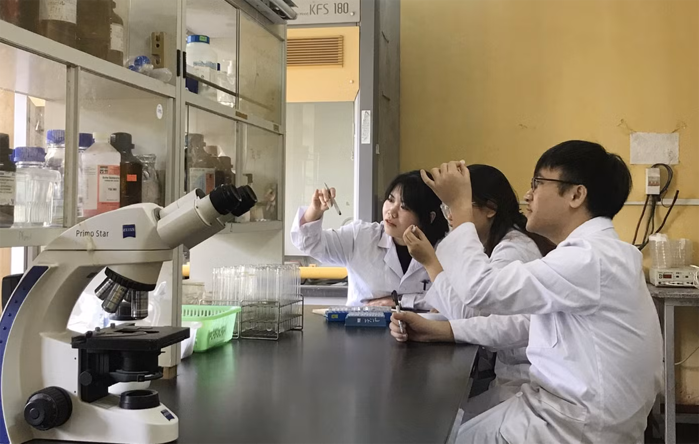 Cao Thị Thu Thuý đang thảo luận về thí nghiệm cùng các thành viên nhóm nghiên cứu.