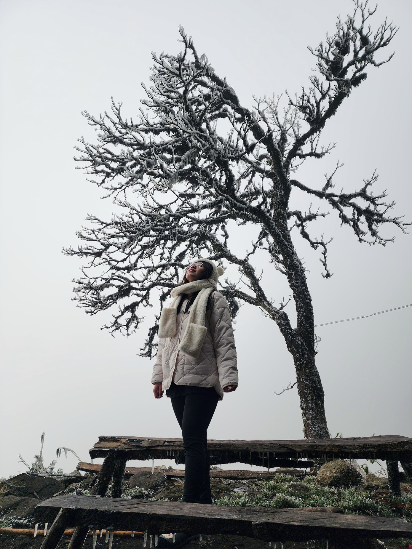 Khung cảnh đẹp như châu Âu.