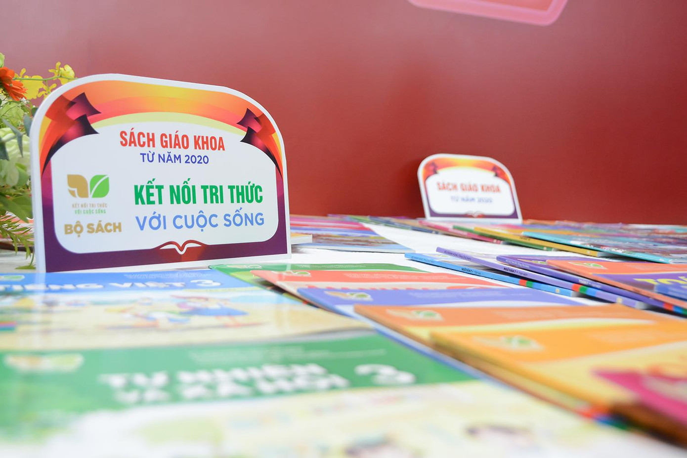 Hàng nghìn đầu sách được trưng bày.