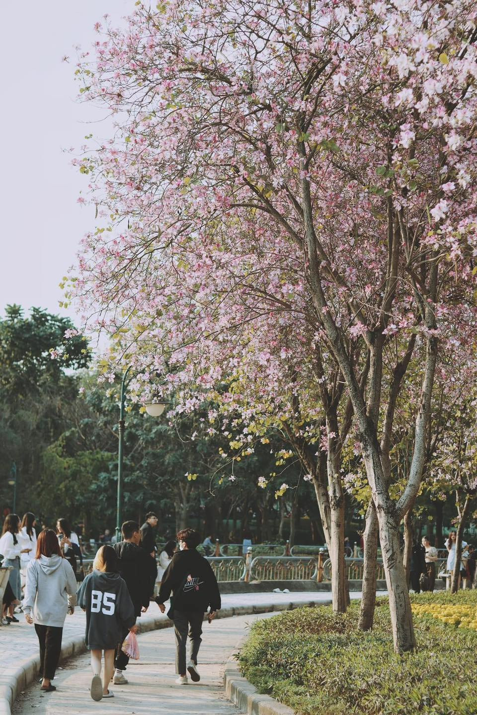 Những ngày này, công viên Cầu Giấy bỗng trở thành điểm đến được các bạn trẻ hào hứng đón nhận.