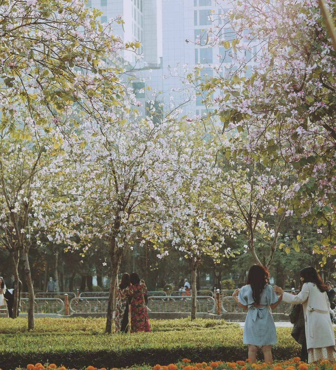 Những ngày này, công viên Cầu Giấy bỗng trở thành điểm đến được các bạn trẻ hào hứng đón nhận.