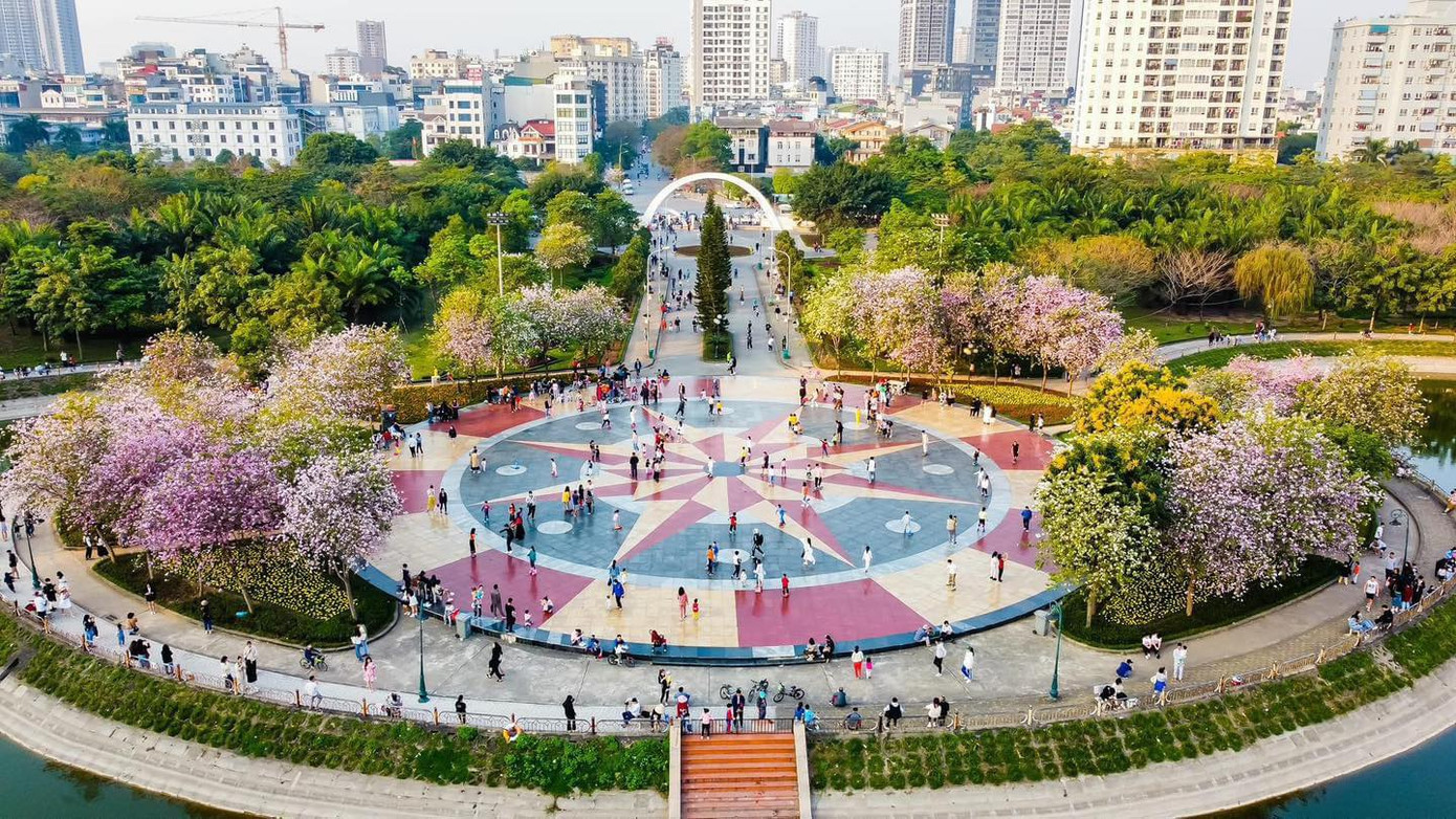Trên diện tích gần 7.000 m2, công viên Cầu Giấy những ngày này nổi bật với sắc tím của hoa ban nở rộ.