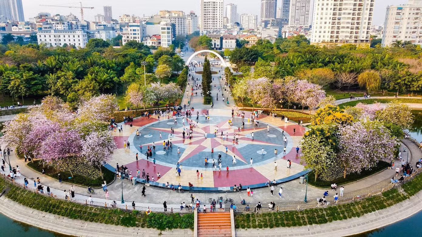 Trên diện tích gần 7.000 m2, công viên Cầu Giấy những ngày này nổi bật với sắc tím của hoa ban nở rộ.