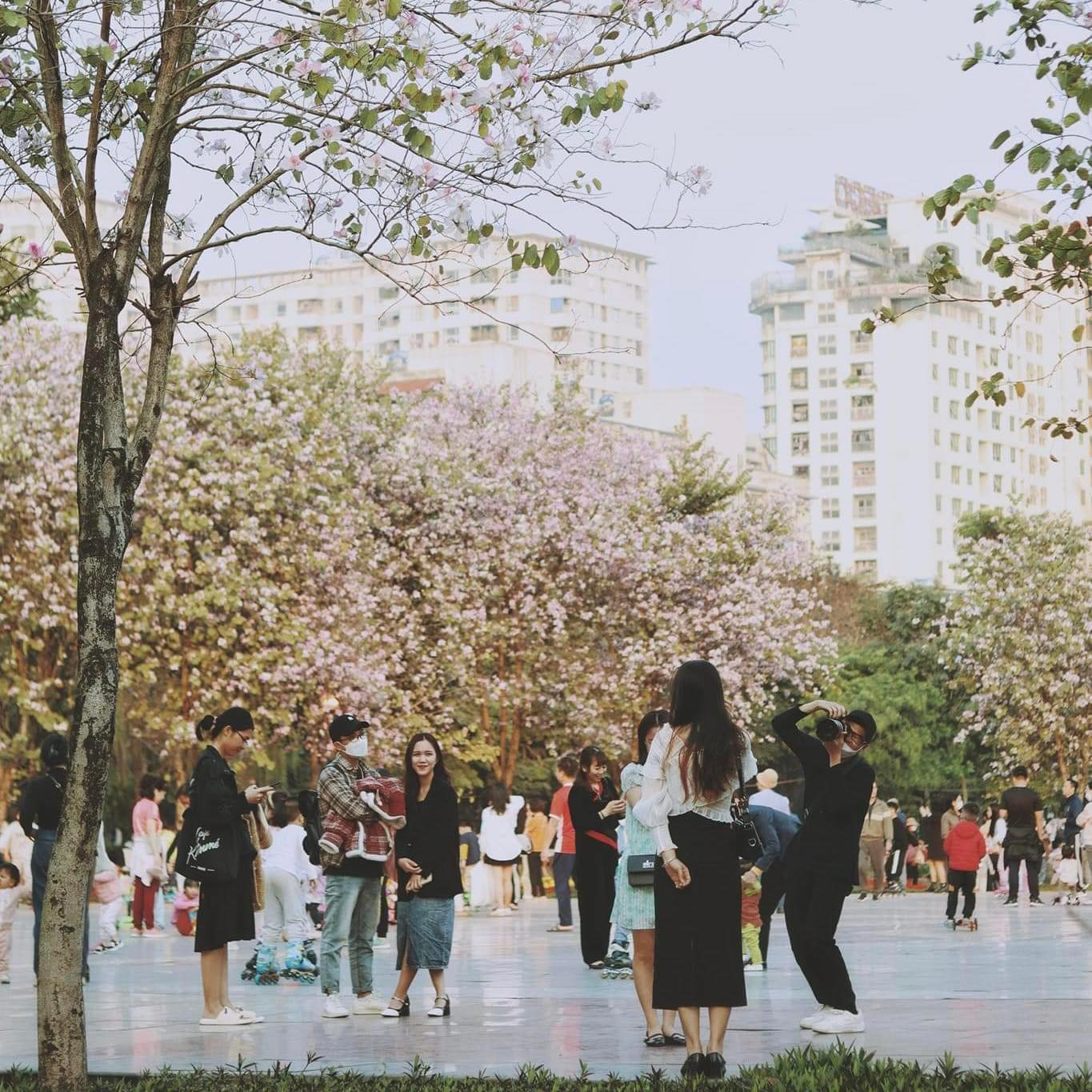 Những ngày này, công viên Cầu Giấy bỗng trở thành điểm đến được các bạn trẻ hào hứng đón nhận.