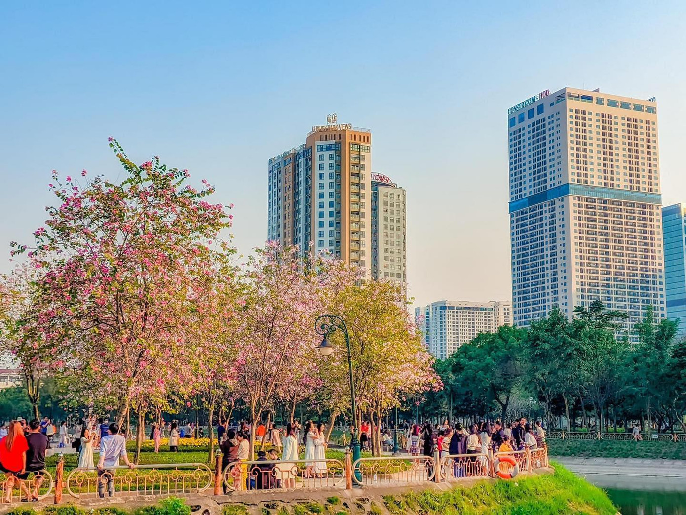 Loài hoa ban từ vùng Tây Bắc nổi tiếng, ở Hà Nội trên những tuyến phố lớn như Trần Phú, Thanh Niên, Hoàng Diệu, thường được du khách hay các bạn trẻ ghé thăm.