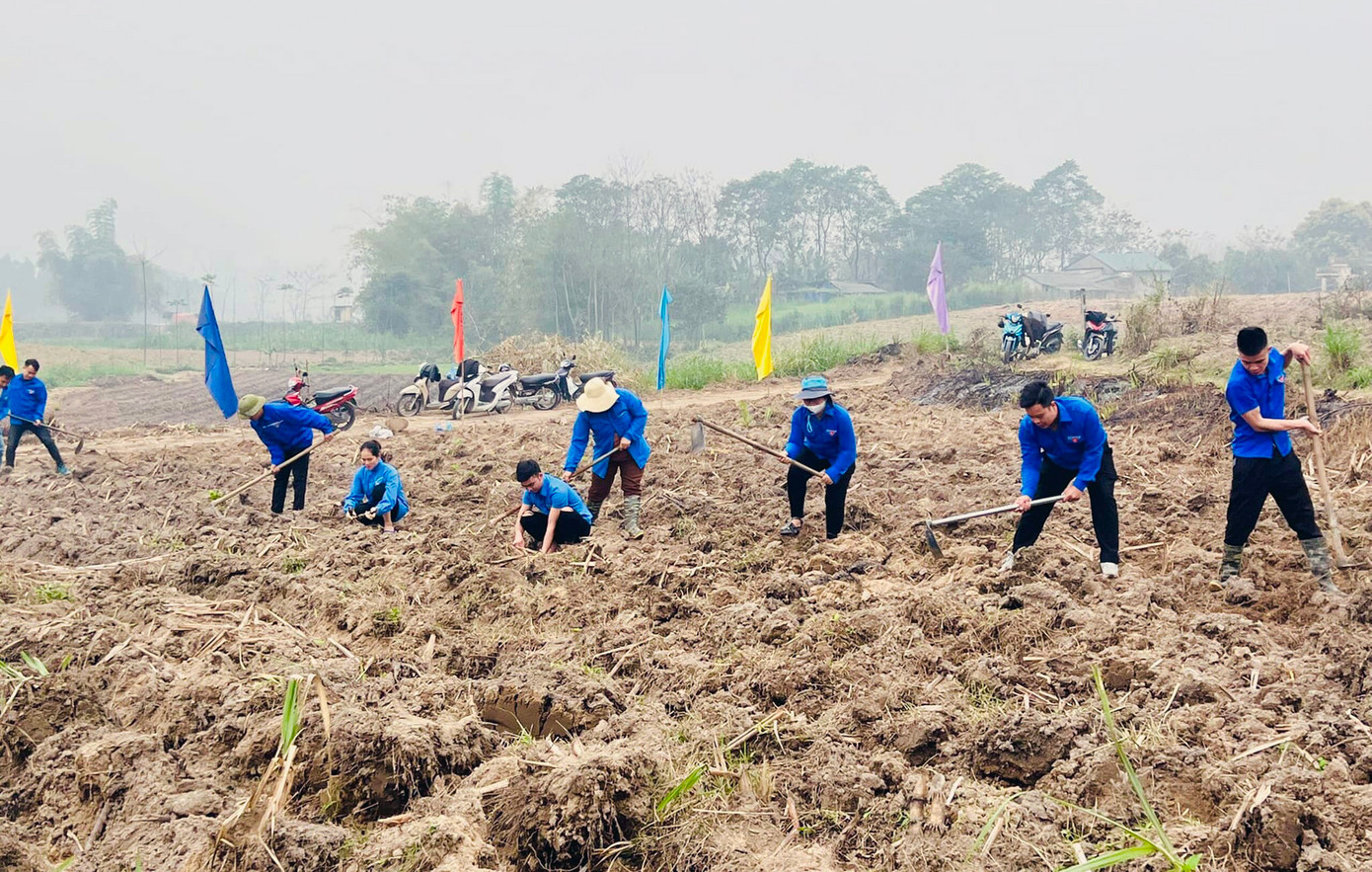 Hình ảnh áo xanh thanh niên tình nguyện trên những cánh đồng. Hình ảnh áo xanh thanh niên tình nguyện trên những cánh đồng.