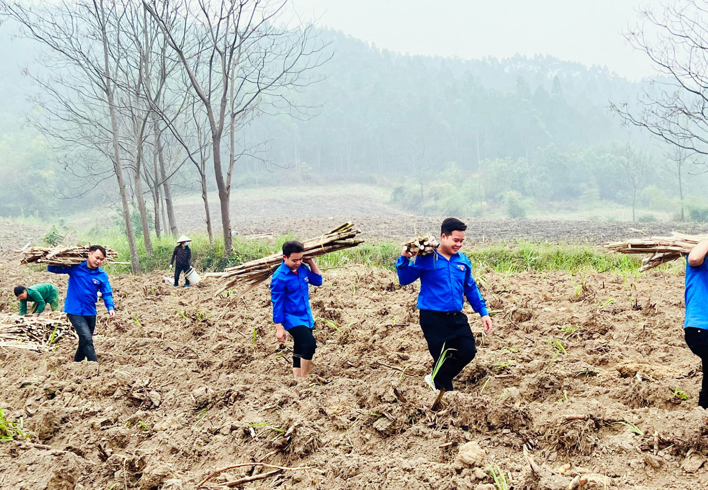 Hình ảnh áo xanh trên khắp các rẻo cao tỉnh Tuyên Quang. Hình ảnh áo xanh trên khắp các rẻo cao tỉnh Tuyên Quang.