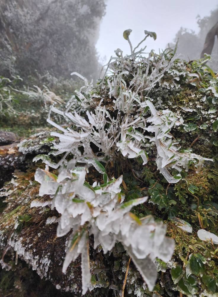 “Cuối năm là thời điểm tuyệt vời để leo núi, vừa để nhìn lại những gì đã qua, vừa khởi đầu một năm mới đầy năng lượng. Leo núi giúp mình sống chậm lại, kết nối sâu sắc hơn với thiên nhiên và những người đồng hành”, anh Full Thái tâm sự. “Cuối năm là thời điểm tuyệt vời để leo núi, vừa để nhìn lại những gì đã qua, vừa khởi đầu một năm mới đầy năng lượng. Leo núi giúp mình sống chậm lại, kết nối sâu sắc hơn với thiên nhiên và những người đồng hành”, anh Full Thái tâm sự.