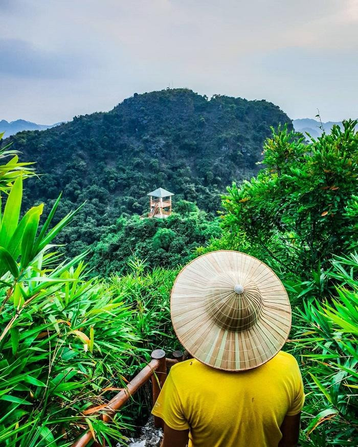 Địa điểm này thu hút bạn trẻ trải nghiệm, cắm trại.