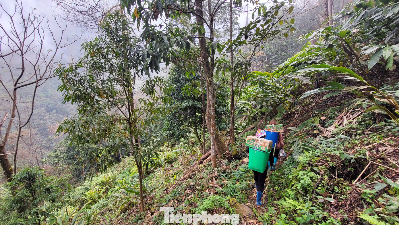 Những cung đường nổi bật trên đường chinh phục đỉnh Bạch Mộc Lương Tử.