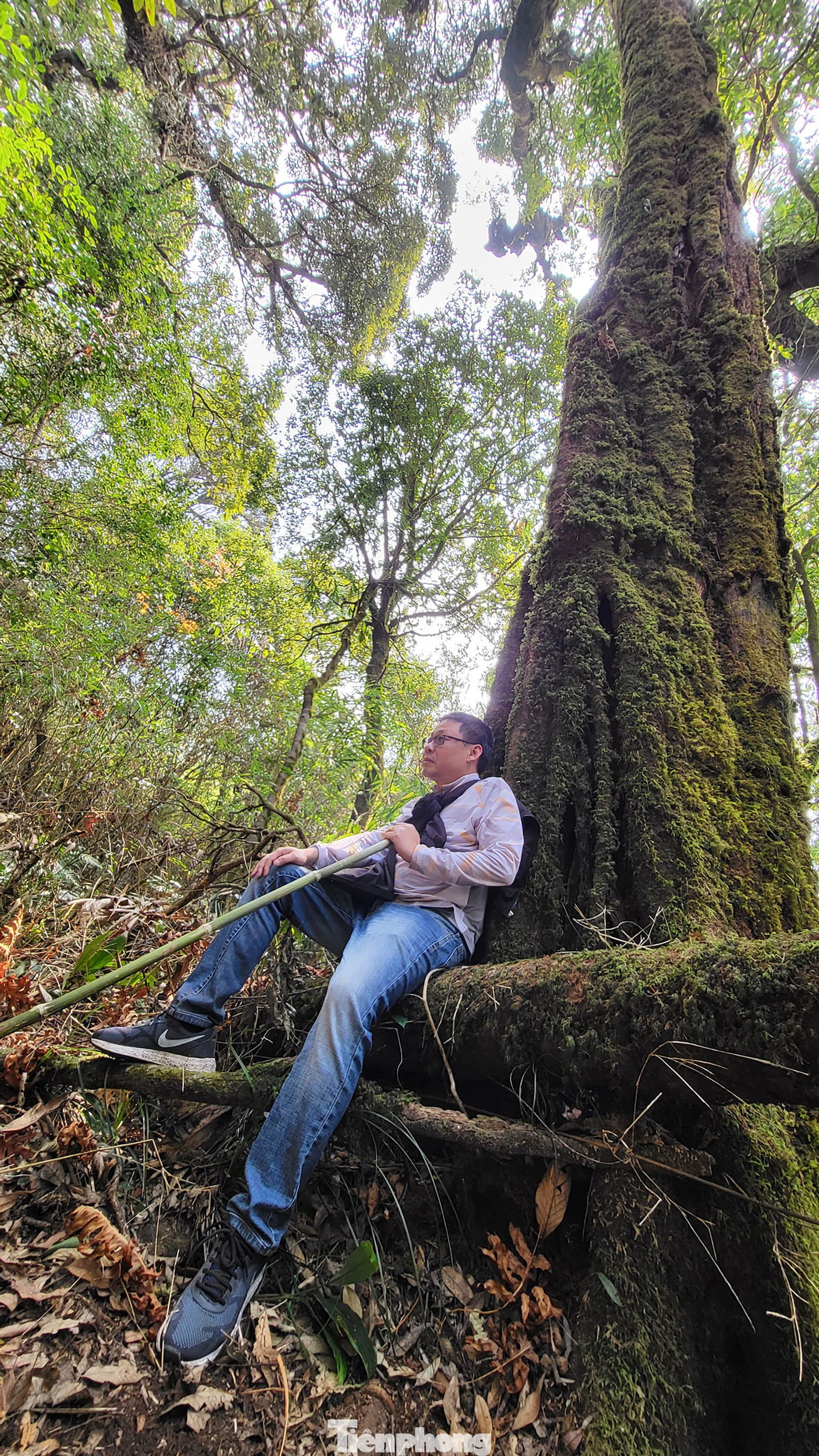 Xuyên rừng già chinh phục một trong tứ đại đỉnh núi Việt Nam ảnh 4