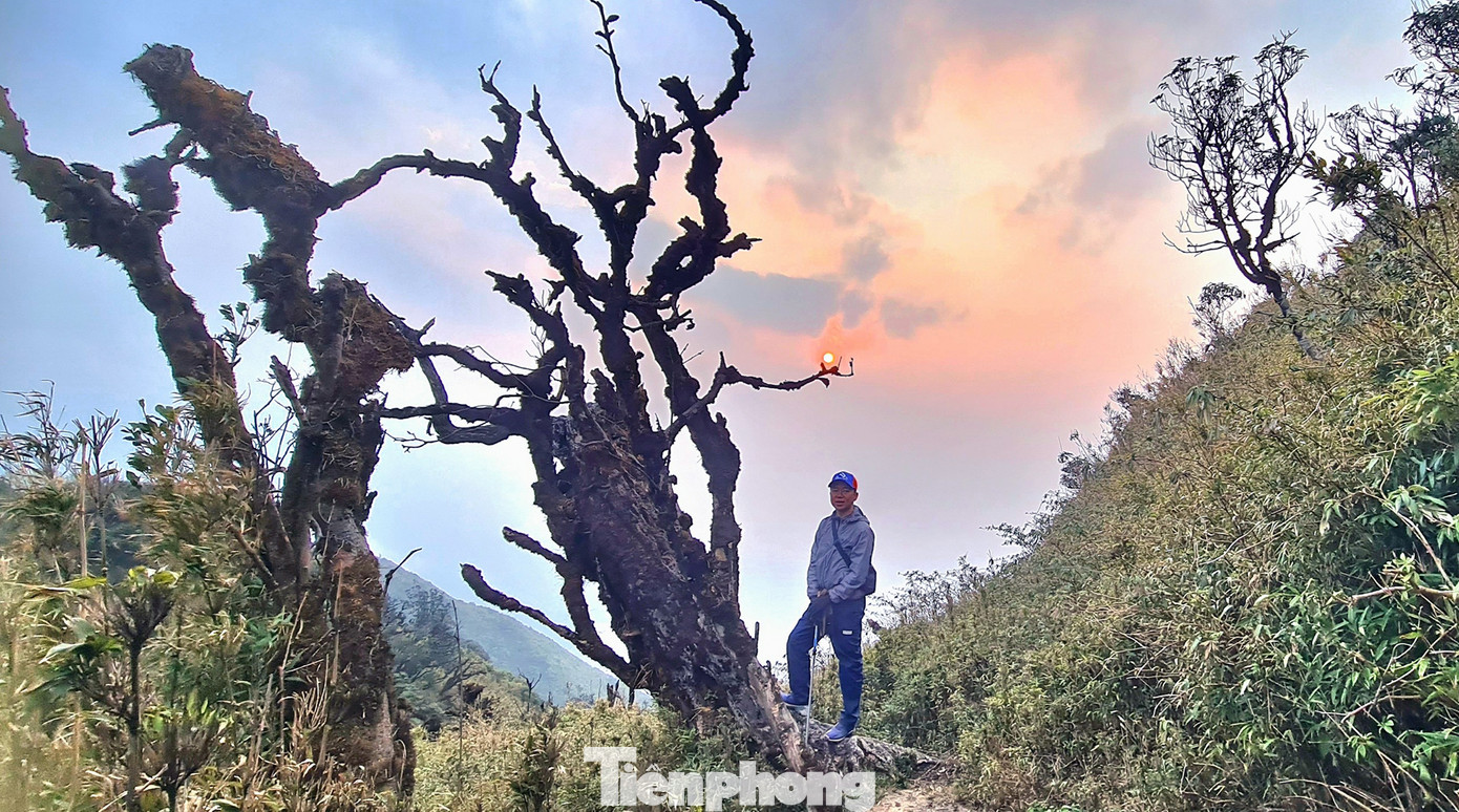 Một điểm check-in ấn tượng.