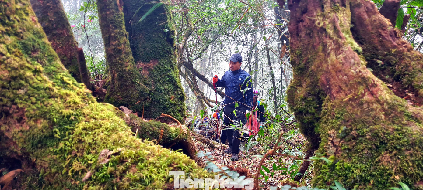 Hành trình chinh phục đỉnh núi cao thứ tư Việt Nam.