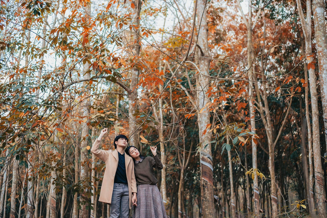 Cao su ở đây trồng dày và rộng lớn, vào thời khắc giao mùa, lá cây chuyển màu vàng, đỏ đẹp mơ màng. Ảnh: VIÊN DIỆU PHÁT