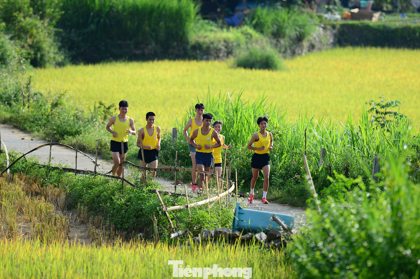 Các runner có cơ hội băng qua những cánh đồng lúa xanh thăm thẳm.