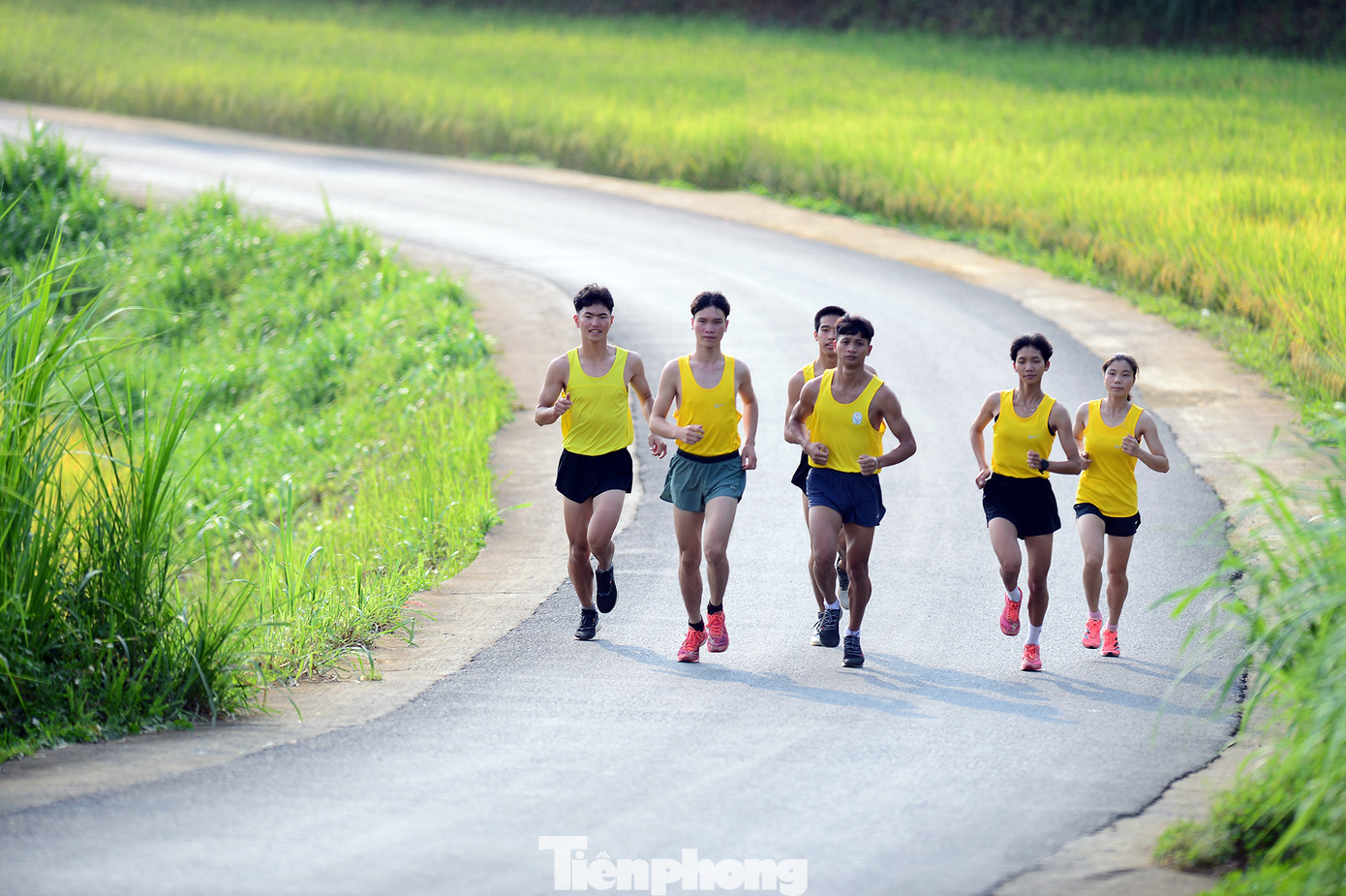 Trên cánh đồng lúa khám phá bản Nậm Loỏng.