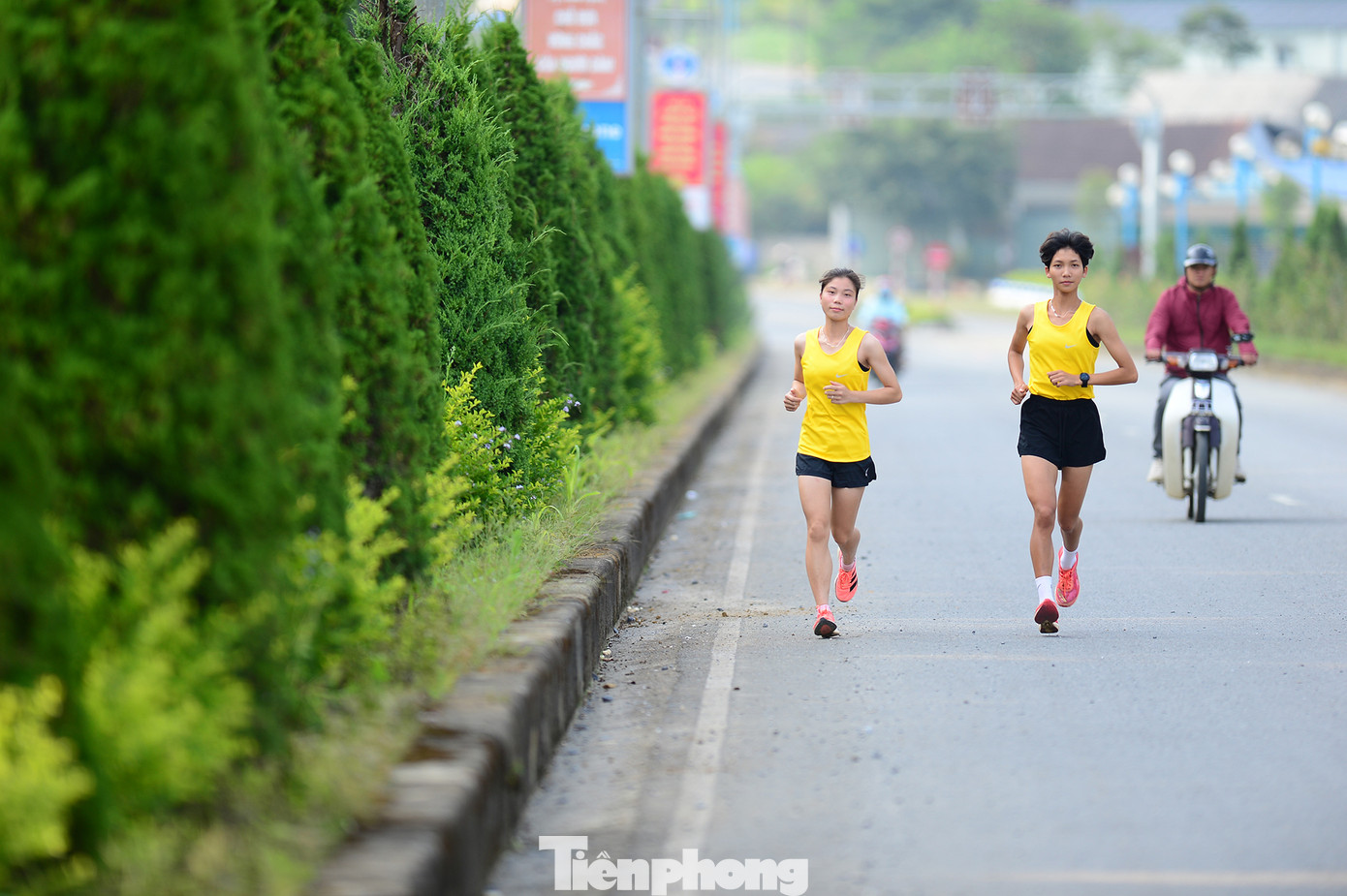 Những con đường thẳng tắp.