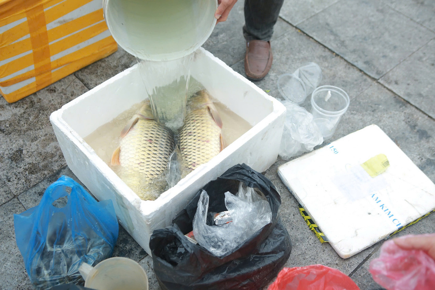 Người dân với những cặp cá đặc biệt. Người dân với những cặp cá đặc biệt.