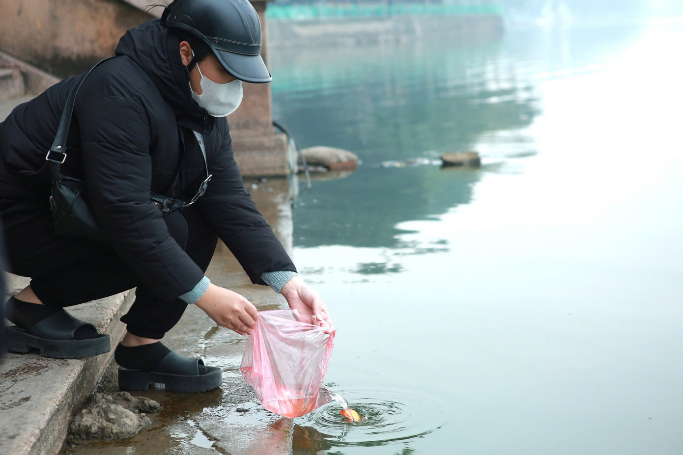 Hình ảnh người dân thả cá dịp 23 tháng Chạp. Hình ảnh người dân thả cá dịp 23 tháng Chạp.