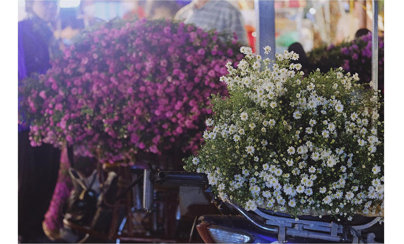 Hoa cúc hoạ mi cùng một số loài hoa khác, tạo nên một Hà Nội rực rỡ sắc màu đầu Đông. Ảnh: TRƯƠNG ĐÌNH MINH