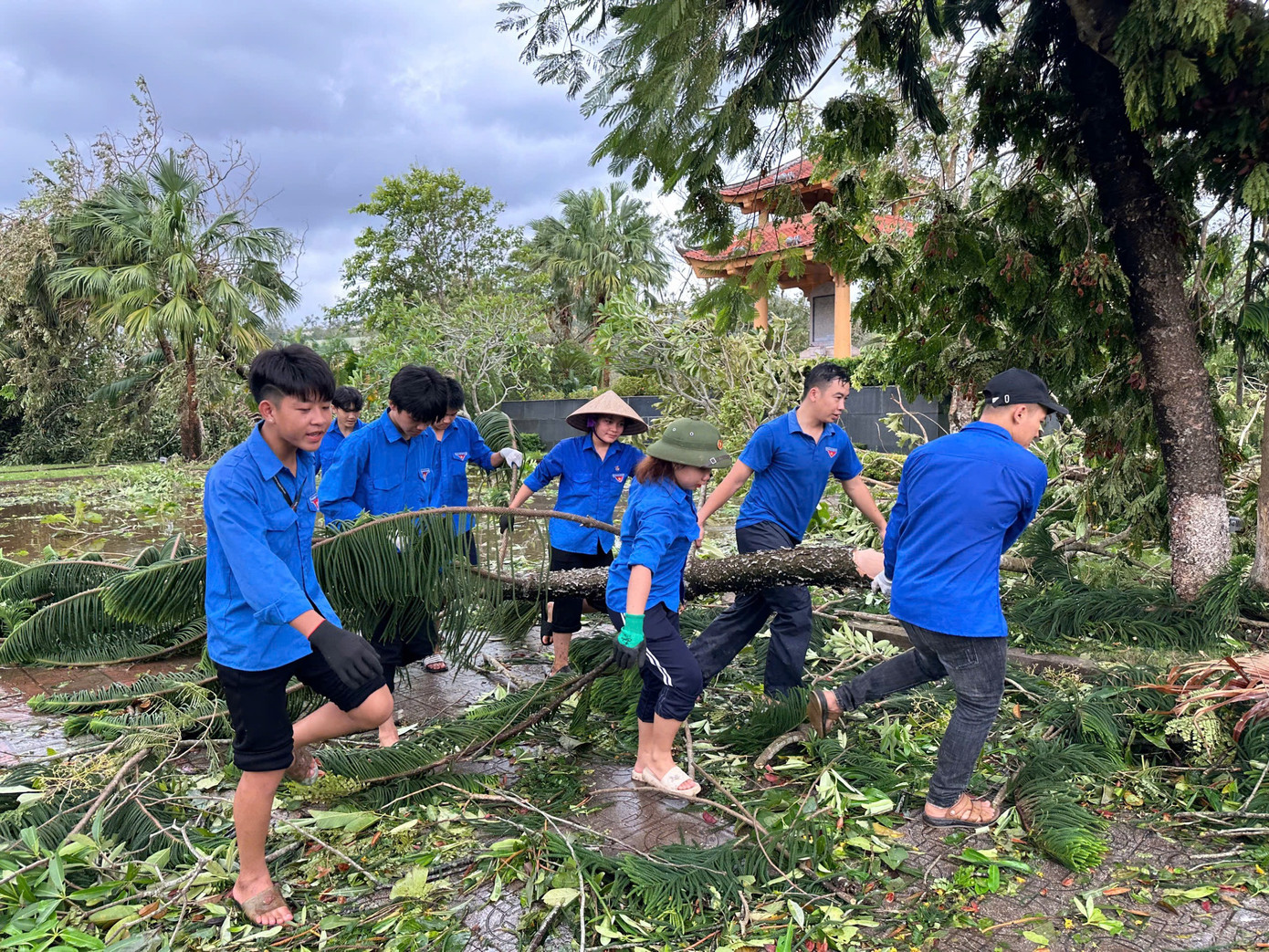 Các đội hình tình nguyện tham gia hỗ trợ tại địa phương.