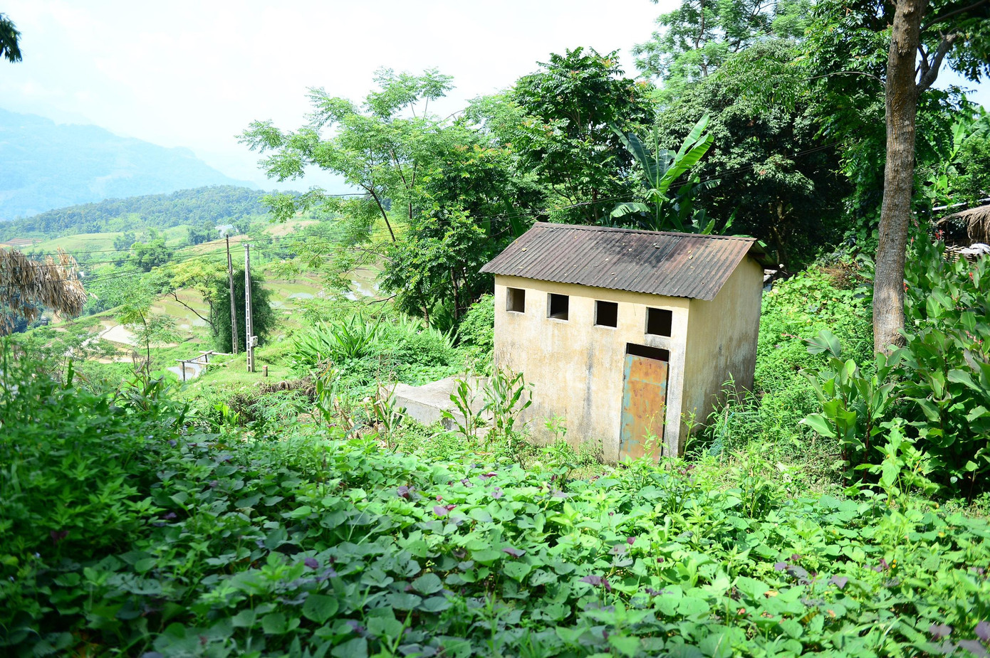 Nhà vệ sinh hiện tại của điểm trường Nà Kiếm, trường Phổ thông dân tộc bán trú TH và THCS Hồng Thái, huyện Na Hang, tỉnh Tuyên Quang. Nhà vệ sinh hiện tại của điểm trường Nà Kiếm, trường Phổ thông dân tộc bán trú TH và THCS Hồng Thái, huyện Na Hang, tỉnh Tuyên Quang.