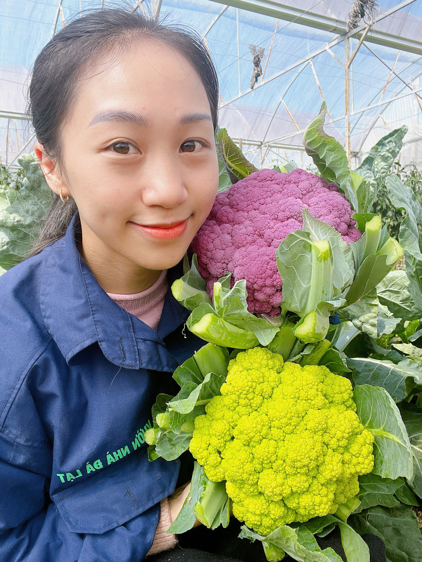 Bỏ công việc thành phố Nguyễn Thị Tường Thảo về rừng 'livetream' bán hàng nông sản. Bỏ công việc thành phố Nguyễn Thị Tường Thảo về rừng 'livetream' bán hàng nông sản.