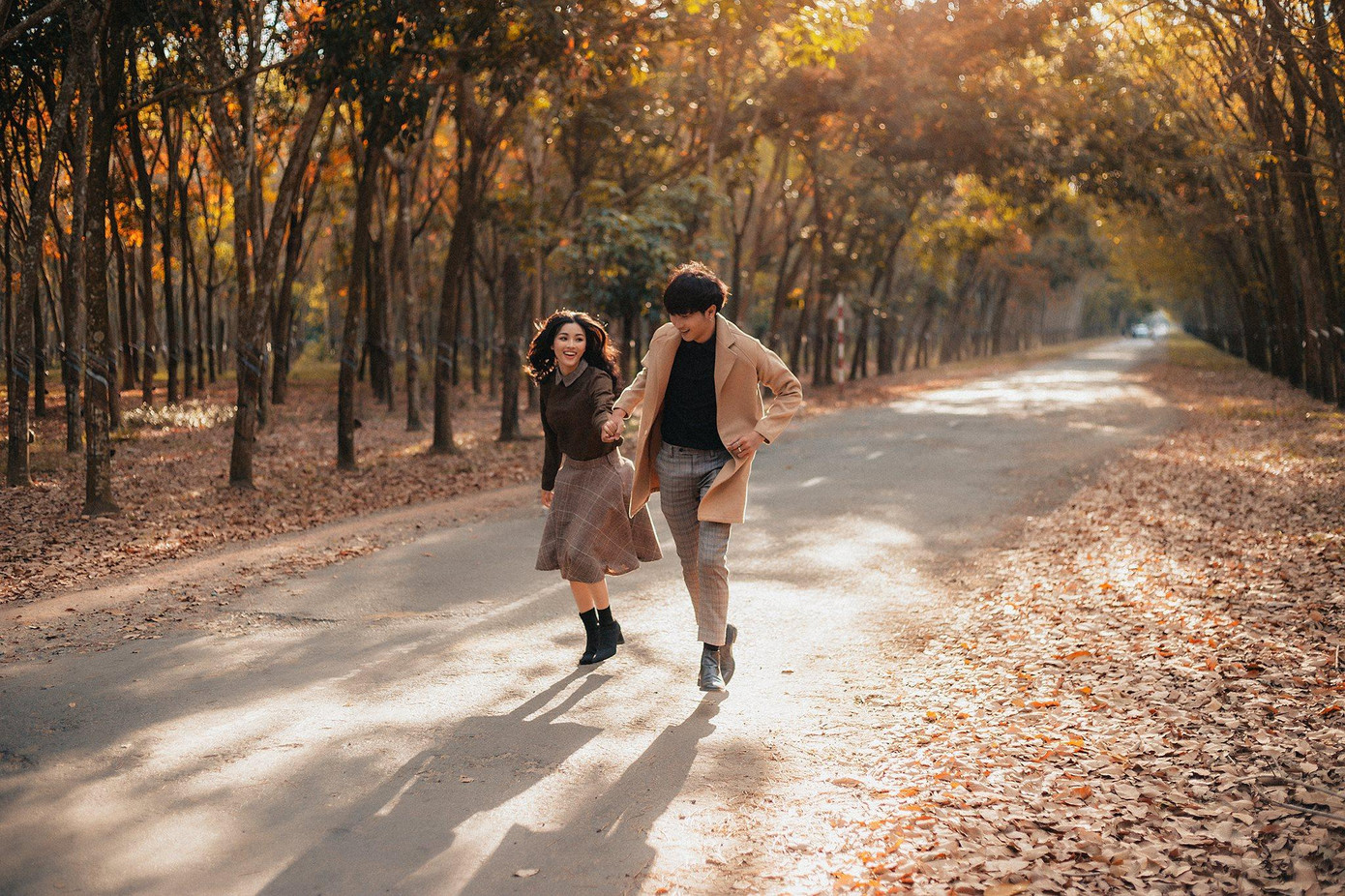 Hàng năm, từ cuối tháng 12 đến tháng 3 năm sau, vùng Đông Nam Bộ nói chung, gần khu vực hồ Cần Nôm, nói riêng bước vào mùa cao su thay lá. Du khách di chuyển đến địa phận xã Thanh An, huyện Dầu Tiếng, tỉnh Bình Dương. Ảnh: VIÊN DIỆU PHÁT