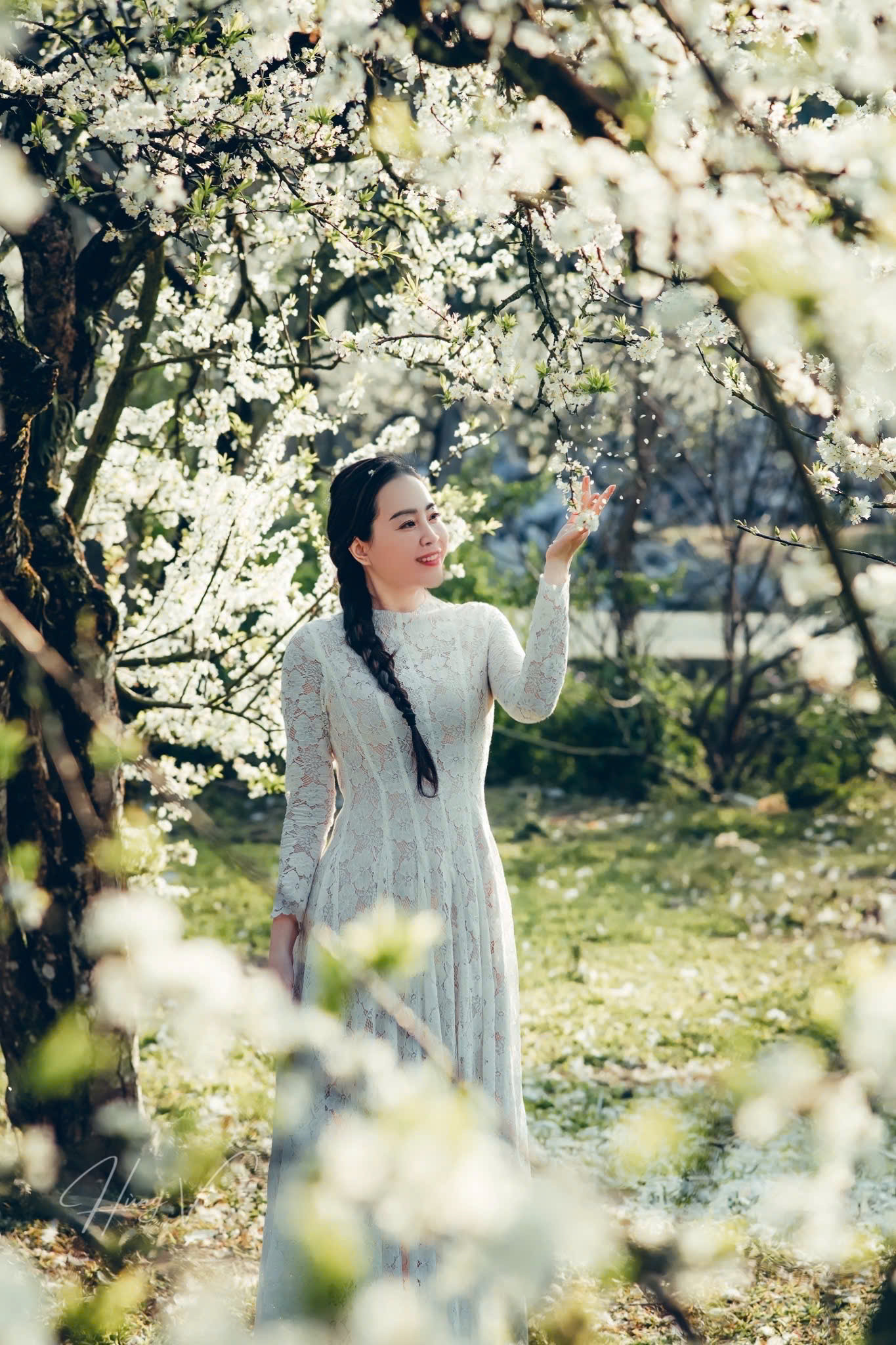 Những ngày Mộc Châu 'trắng trời' với những thung lũng hoa mận. Ảnh: HÙNG VĨ Những ngày Mộc Châu 'trắng trời' với những thung lũng hoa mận. Ảnh: HÙNG VĨ