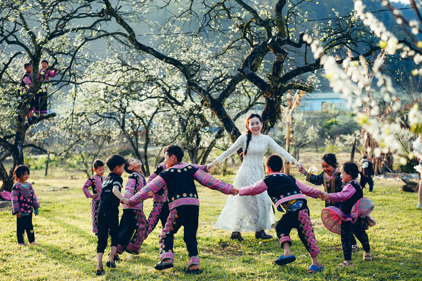 Những ngày Mộc Châu 'trắng trời' với những thung lũng hoa mận. Ảnh: HÙNG VĨ Những ngày Mộc Châu 'trắng trời' với những thung lũng hoa mận. Ảnh: HÙNG VĨ
