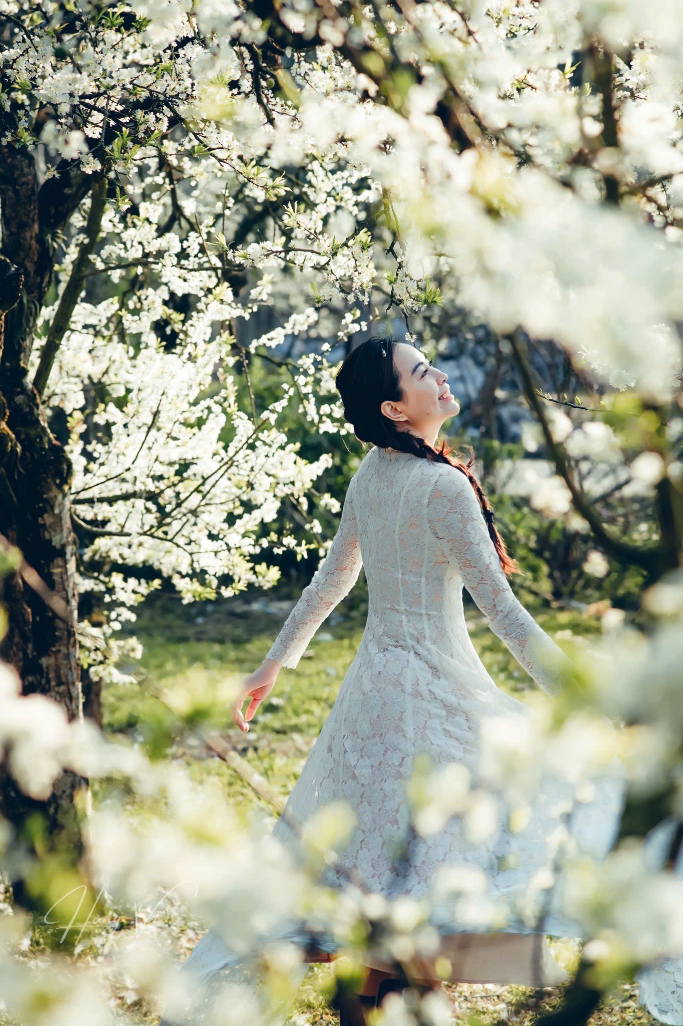 Những ngày Mộc Châu 'trắng trời' với những thung lũng hoa mận. Ảnh: HÙNG VĨ Những ngày Mộc Châu 'trắng trời' với những thung lũng hoa mận. Ảnh: HÙNG VĨ