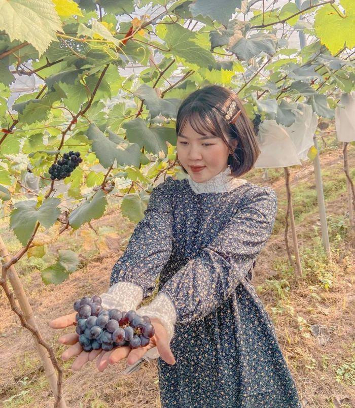 Từ trung tâm Hà Nội, chỉ mất chừng hơn 30 phút là bạn có thể đặt chân đến trang trại Chimi Farm. Từ trung tâm Hà Nội, chỉ mất chừng hơn 30 phút là bạn có thể đặt chân đến trang trại Chimi Farm.