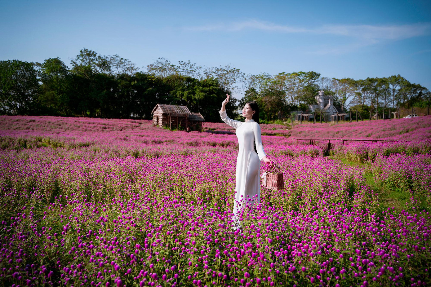 Thời tiết rét đậm cuối Đông cũng không ngăn được những cánh hoa đào, hoa cúc, hoa cải vàng, hoa bách nhật, hoa bướm… nở rộ khoe sắc trong gió Đông lạnh. Ngoài chụp hình, rất nhiều bạn trẻ mua được những bó hoa đủ chủng loại với giá gốc và nở những nụ cười mãn nguyện.