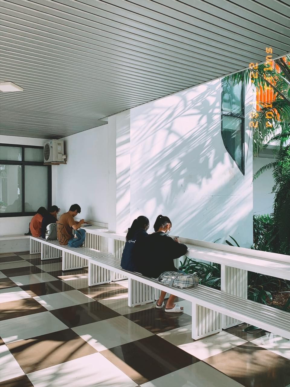 Góc tránh nắng cực "chill" của các bạn sinh viên. Góc tránh nắng cực "chill" của các bạn sinh viên.