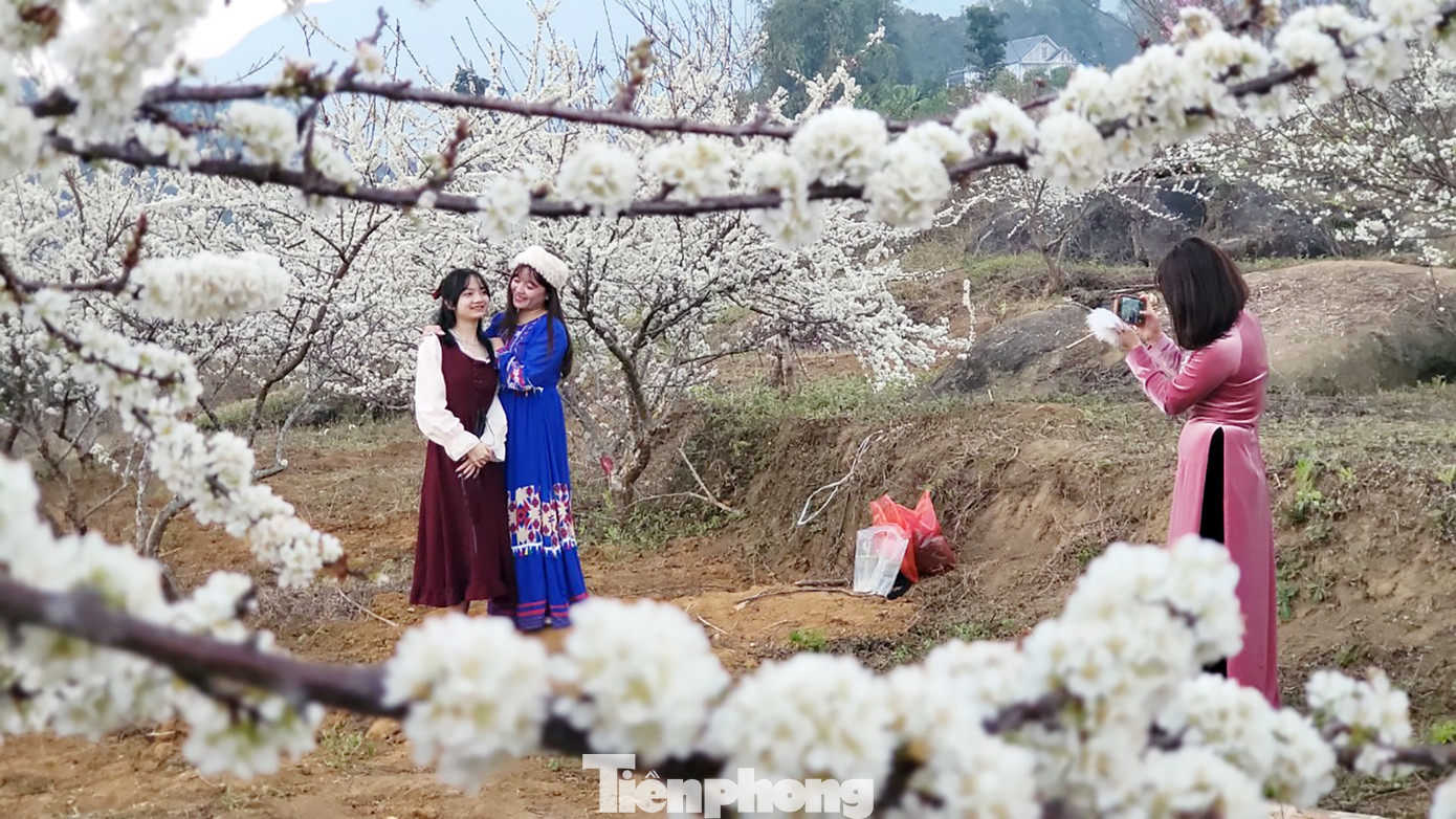 Ngoài việc ngắm cảnh và chụp ảnh, du khách đến với bản Chù Lìn còn có thể thưởng thức một số loại hoa quả tươi và sạch do chính những người dân ở đây trồng.