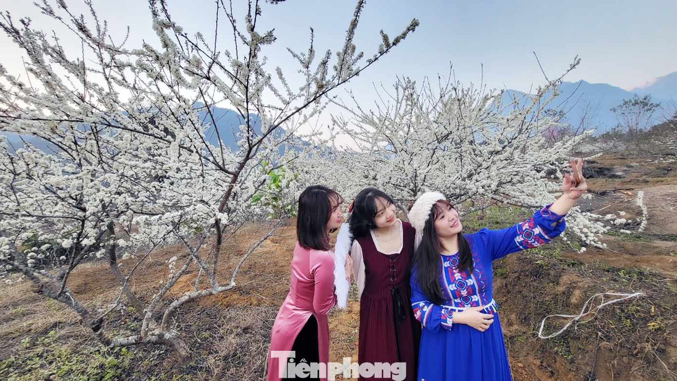 Nhóm bạn trẻ Lê Thuỳ Linh từ TP. Lai Châu vượt quãng đường gần 20 km đến thung lũng hoa mận trắng tại huyện Tam Đường – Lai Châu, với mong muốn được ngắm nhìn những chùm hoa nở trắng tinh.