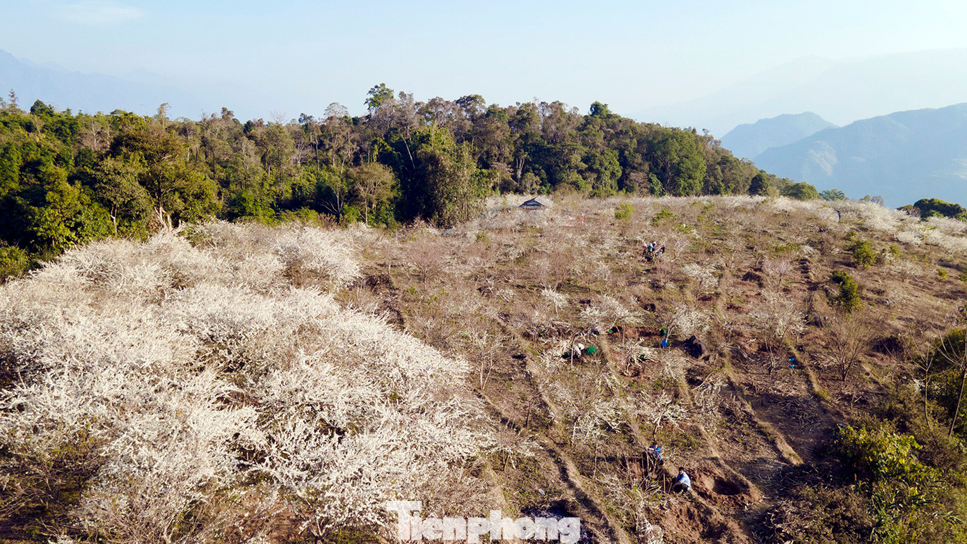 Giữa khung cảnh nên thơ ở nơi này, thật quá dễ dàng để có thể chụp được những bức ảnh tuyệt đẹp để làm kỷ niệm.