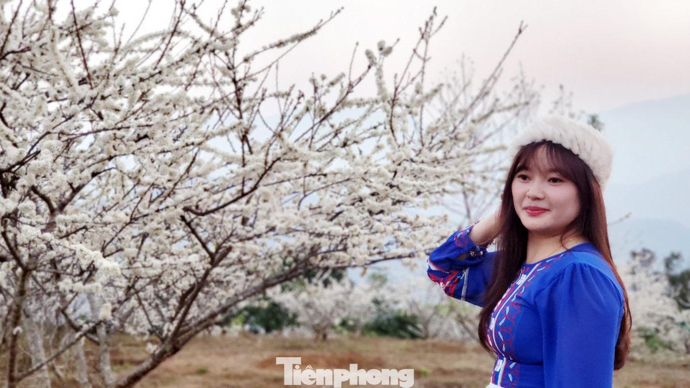 Một bạn trẻ vượt 20 km từ TP. Lai Châu đến chụp ảnh tại vườn mận.