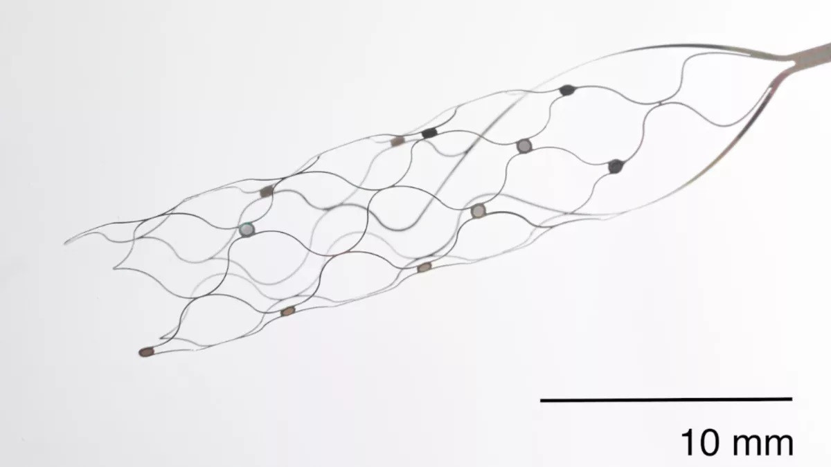 Một thiết bị giao diện não-máy tính mới không cần phẫu thuật mở não để cấy ghép Một thiết bị giao diện não-máy tính mới không cần phẫu thuật mở não để cấy ghép