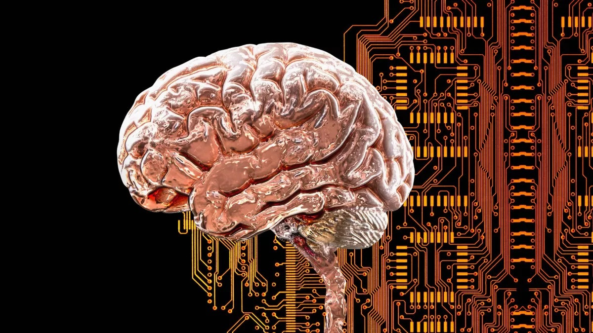 Tất cả các vùng bị teo được kết nối với một mạng lưới não bộ chung.